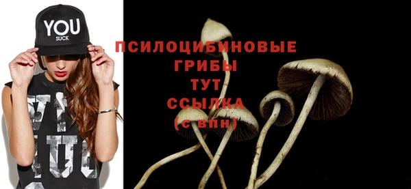 соль курить ск Вяземский