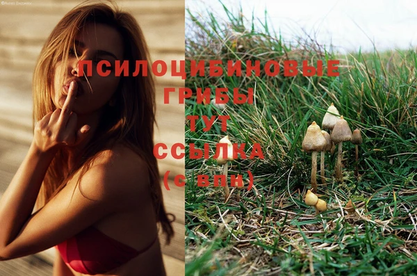 амф Вязники