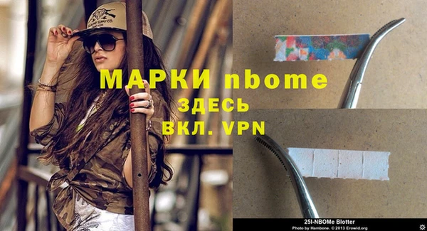 мдпв Володарск